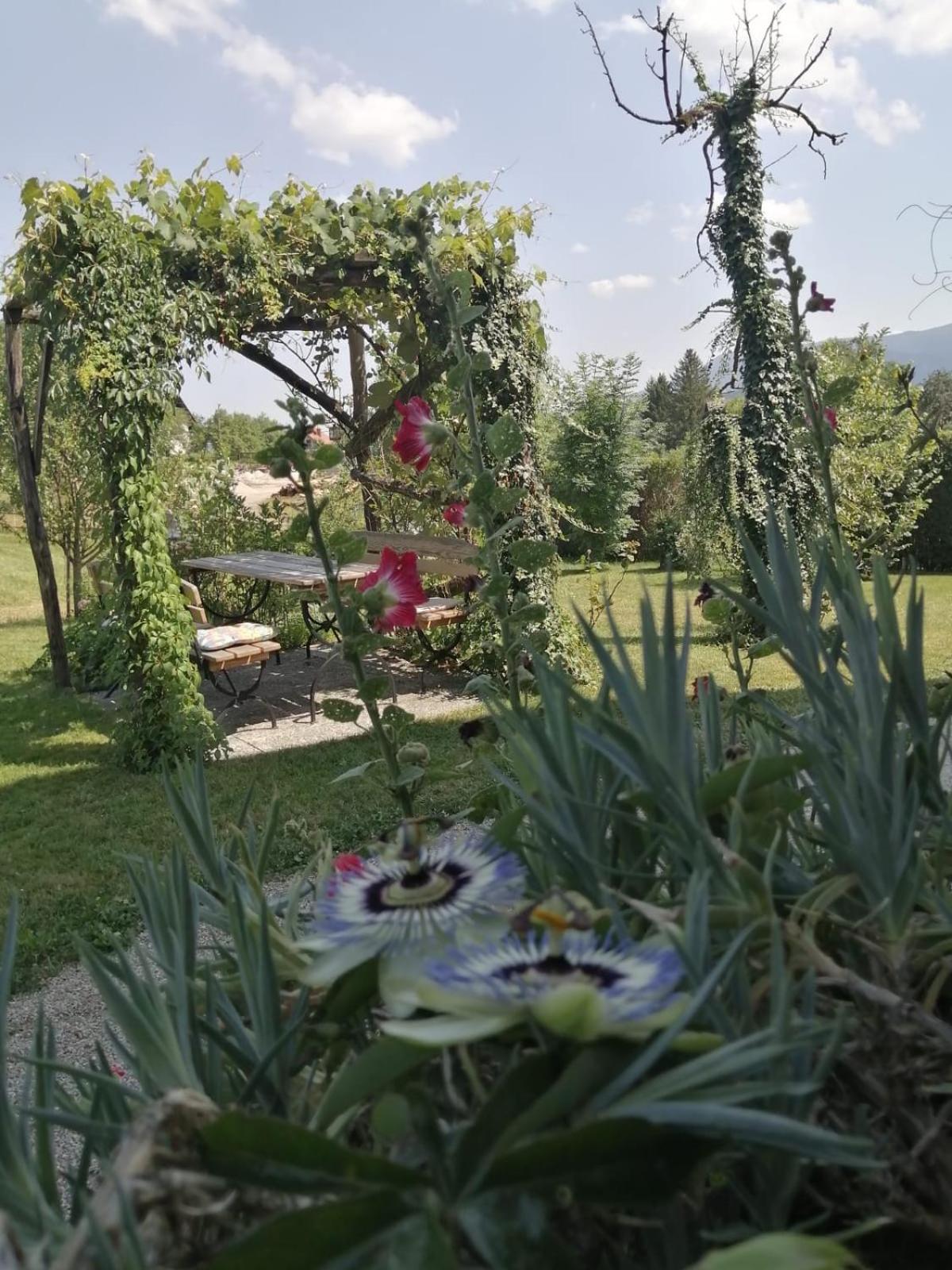 Hostal Marta'S House Bled Exterior foto